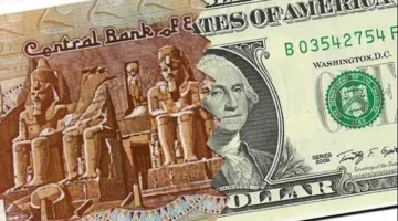 تحركات مفاجئة.. سعر الدولار أمام الجنيه المصري في تعاملات الإثنين 5 يناير 2026